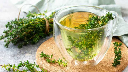 Was sind die Vorteile von Thymianwasser? - HerbalFusion - Das Original 🌿